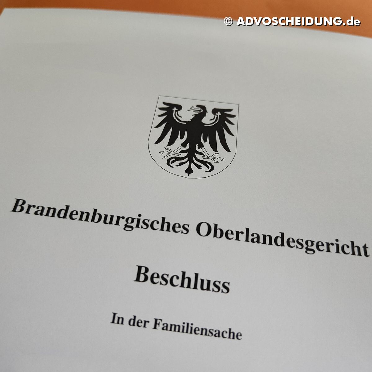 Beschluss OLG Brandenburg